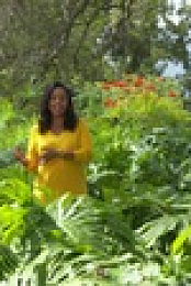 Wild Child S03E02 720p WEB h264-DiRT EZTV