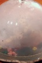 Next Level Chef S02E14 720p HEVC x265-MeGusta EZTV