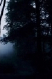 Perfect Storms Disasters That Changed The World S01E04 The Lost Legions WEBRip x264-UNDERBELLY [eztv]
