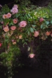 Full Bloom S01E06 1080p WEB h264-KOGi EZTV