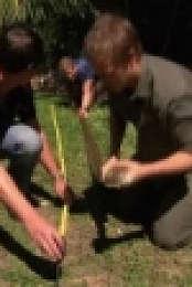 Bondi Vet S06E28 WEB x264-GIMINI [eztv]