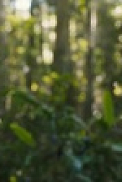 The Wilds S02E06 XviD-AFG EZTV
