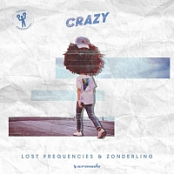 Lost Frequencies, Zonderling - Crazy.m4a [iTunes AAC]