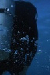 Shark Attacks Files S02E03 720p HDTV x264-CBFM EZTV
