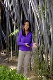 Wild Child S02E22 480p x264-mSD EZTV