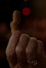 Young Sheldon S05E17 XviD-AFG EZTV