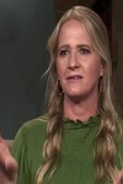 Sister Wives S17E06 480p x264-mSD EZTV
