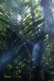 Primal Survivor S03E03 Crocodile Hunter WEBRip x264-CAFFEiNE [eztv]