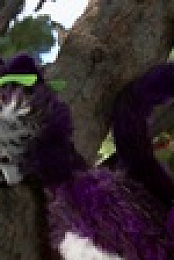 Mutt and Stuff S01E02 720p WEB h264-DiRT EZTV