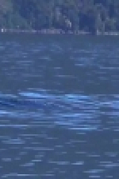 Paranormal Caught on Camera S02E05 Colossal Creature and More WEB x264-ROBOTS EZTV