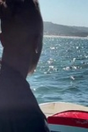 When Sharks Attack 360 S01E05 480p x264-mSD EZTV