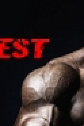 The Fastest Fist VR