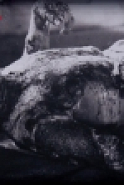 NHK Visualizing Atomic Deaths 720p HDTV x264 AAC mkv[eztv]