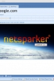 NetSparker Pro 4.9.5