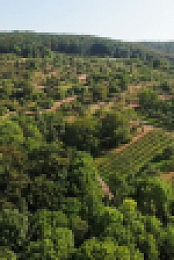 Inside the Enchanted Forests S01E02 1080p WEB h264-EDITH EZTV