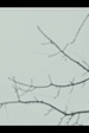I Am A Stalker S01E08 XviD-AFG EZTV