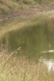 Naked and Afraid S17E10 1080p WEB h264-FREQUENCY EZTV