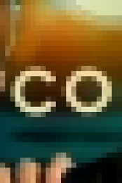 Coroner S02E08 WEBRip x264-PHOENiX[TGx]