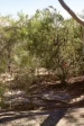 Housos S03E04 HDTV x264-TAR EZTV