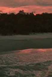 Snake in the Grass S01E02 XviD-AFG EZTV