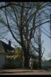 Black and Missing S01E02 1080p WEB h264-OPUS EZTV