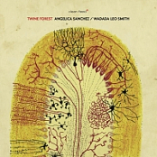 Angelica Sanchez, Wadada Leo Smith - Twine Forest (2013)