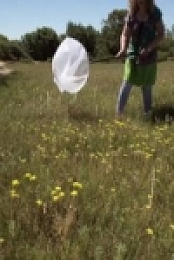 Secret Migrations S01E04 480p x264-mSD [eztv]