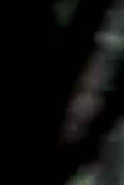 Paranormal Caught on Camera S02E13 A Haunted Bar and More 720p WEB x264-ROBOTS [eztv]