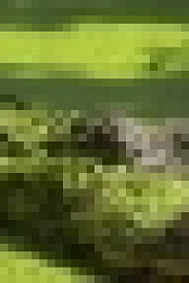 Swamp People S11E05 WEB h264-TBS[TGx]