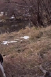 Mountain Men S07E02 720p WEB h264-TBS[eztv]