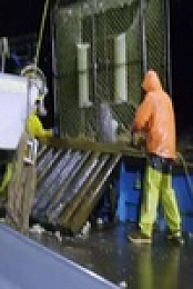 Deadliest Catch S17E07 What Would Phil Harris Do 480p x264-mSD EZTV