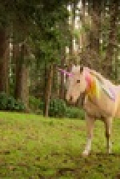 Phantom Pups S01E08 720p WEB H264-BRAVERY EZTV
