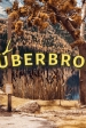 Truberbrook v.1.16 [MULTi] [Unity3D] [GOG] [Linux Native]