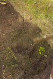 Ask This Old House S19E27 480p x264-mSD EZTV
