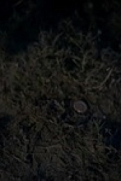 Walker S01E18 480p x264-mSD EZTV