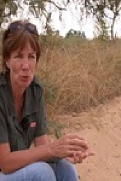Work On The Wild Side S01E16 480p x264-mSD EZTV