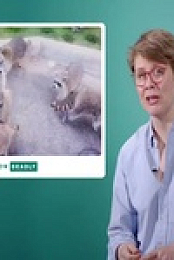 How Deadly World S01E01 480p x264-mSD EZTV