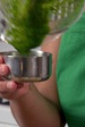 Selena plus Chef S04E08 1080p WEB h264-KOGi EZTV