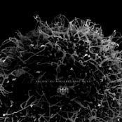 Daemogog (Can) - Ancient Extradigestional Rites (2017) [mp3@320] [Progressive/Technical Death Metal]