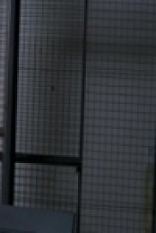 Paranormal Investigators S02E13 Ghost Cops 480p x264-mSD [eztv]