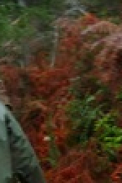 Chefs vs Wild S01E04 XviD-AFG EZTV