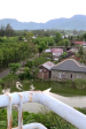 Boxing Day Tsunami S01E01 1080p WEB H264-CBFM EZTV