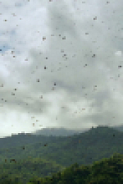 Nature S42E13 720p x265-T0PAZ EZTV