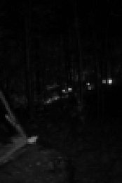 Mountain Monsters S05E08 WEB x264-TBS[eztv]