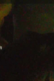 Fugitives Caught on Tape S01E13 XviD-AFG EZTV