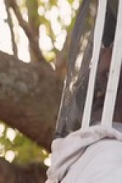 Bee Czar S01E02 Bee the Tree 480p x264-mSD EZTV