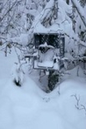 Life Below Zero Next Generation S05E20 480p x264-mSD EZTV