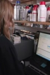 Nova S47E08 Decoding Covid 19 480p x264-mSD [eztv]