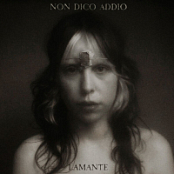 lamante - Non Dico Addio .2026.WEB.FLAC.[24BIT.44.1khz]-EICHBAUM