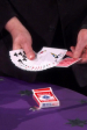 Stupid Pet Tricks S01E09 720p WEBRip x264-BAE EZTV
